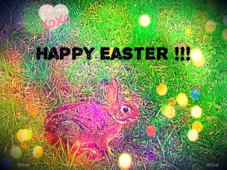 Easter Greetings 