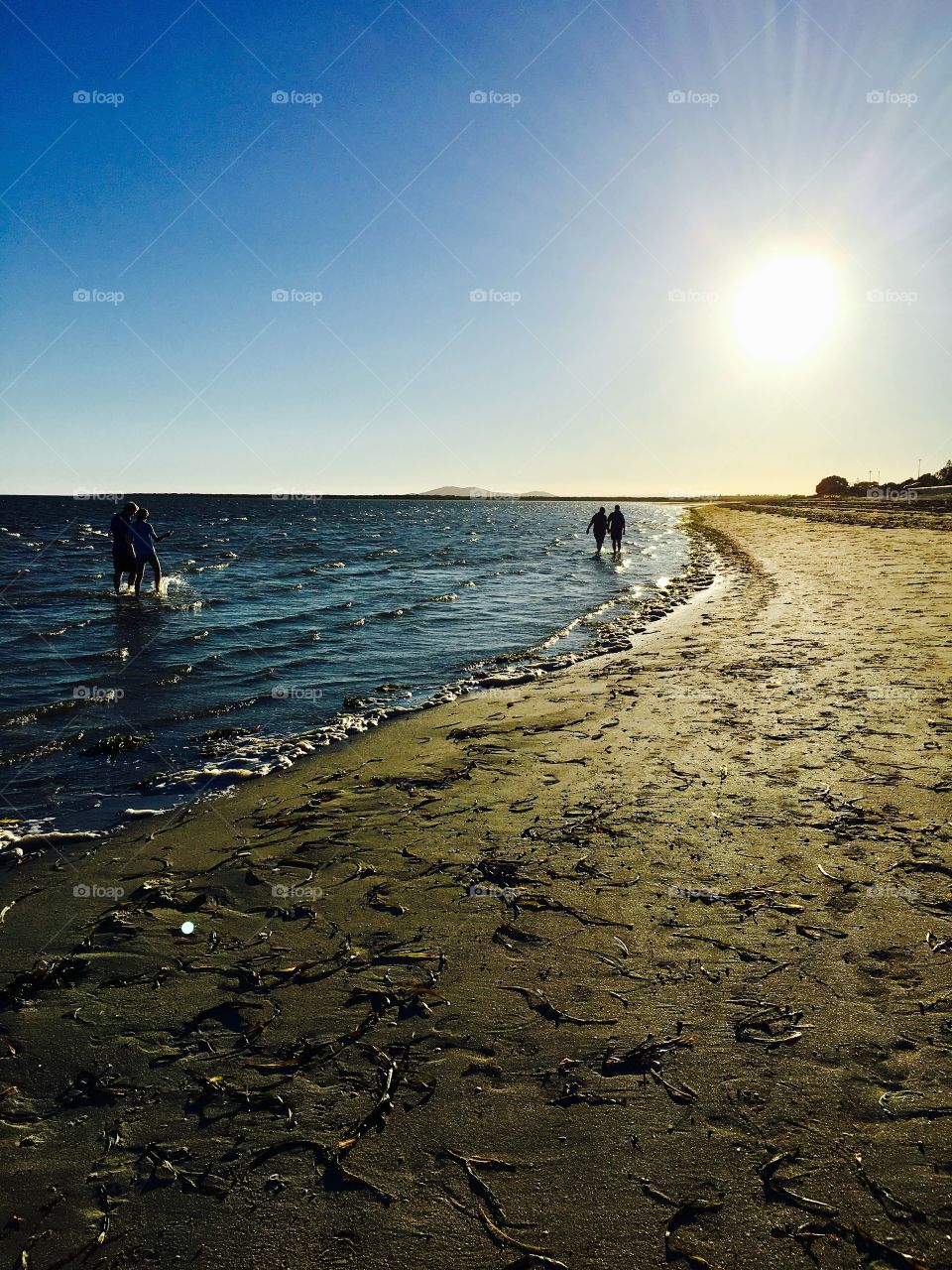 Two couples holding hands walking in the ocean water along the seashore toward the setting sun at the Golden hour 