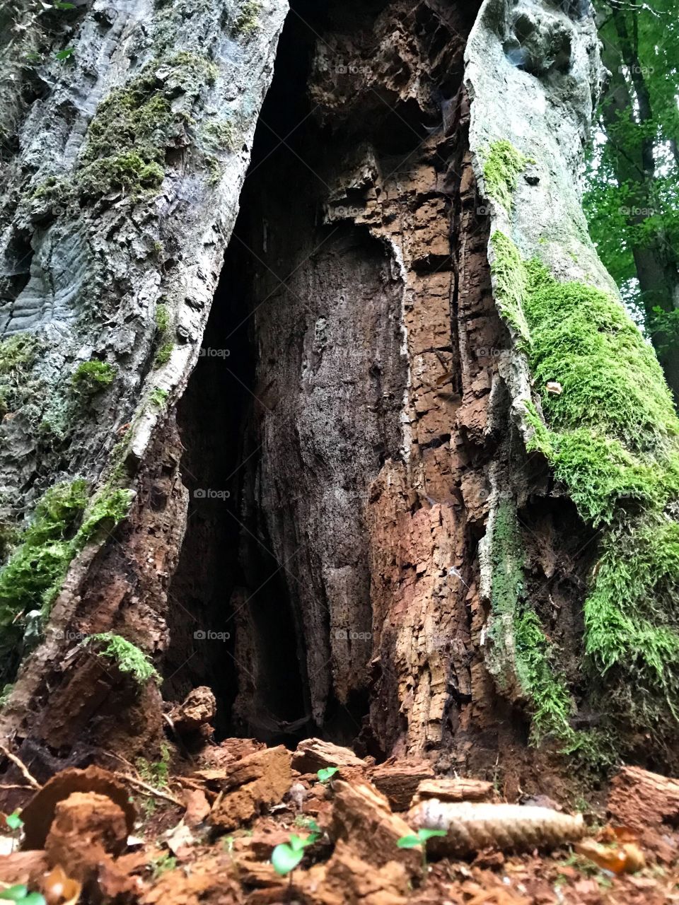 Megalithweg Riedholz 