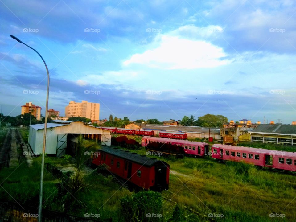 Railway side nature