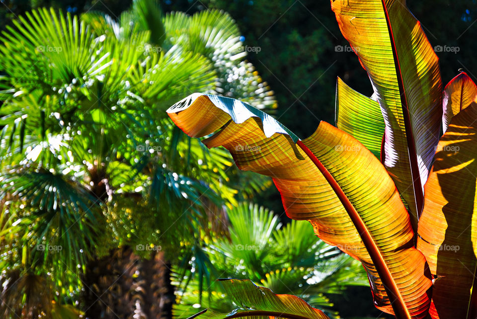 Exploring Switzerland