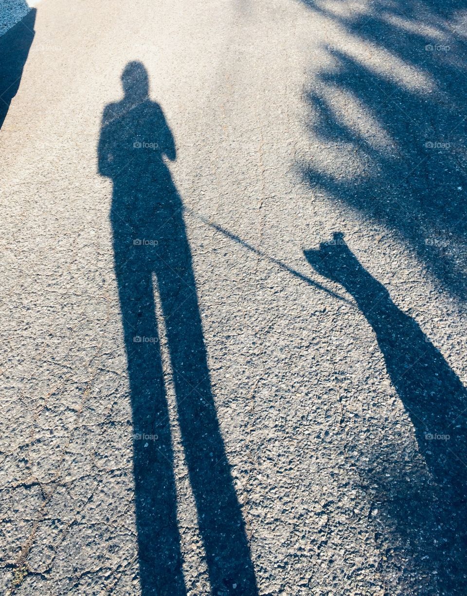 A dog, and it’s best friend