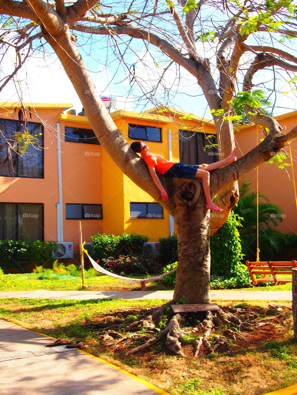 tree sleeping resort tropical by swatchtime