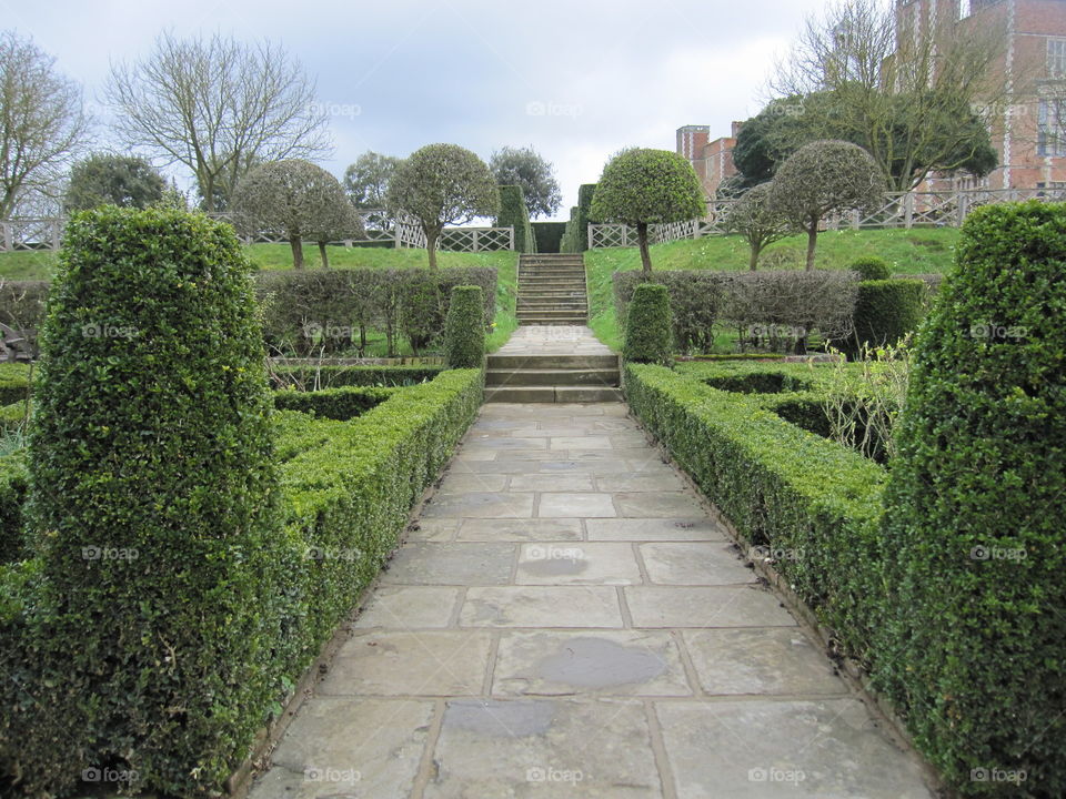 Garden, Hedge, Topiary, Flower, No Person