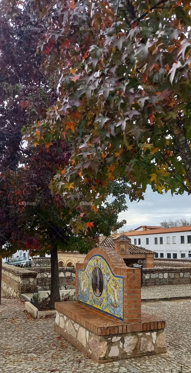 El color de Noviembre