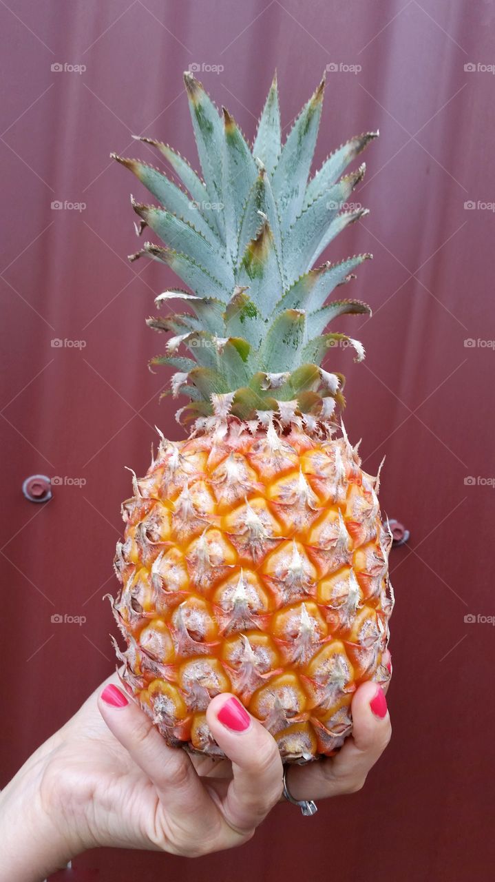 Pineapple in a hand