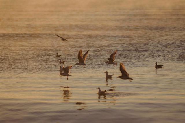 beauty of the sea