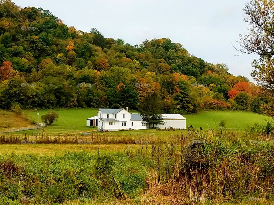 Driving the Back Roads and enjoying everything around us