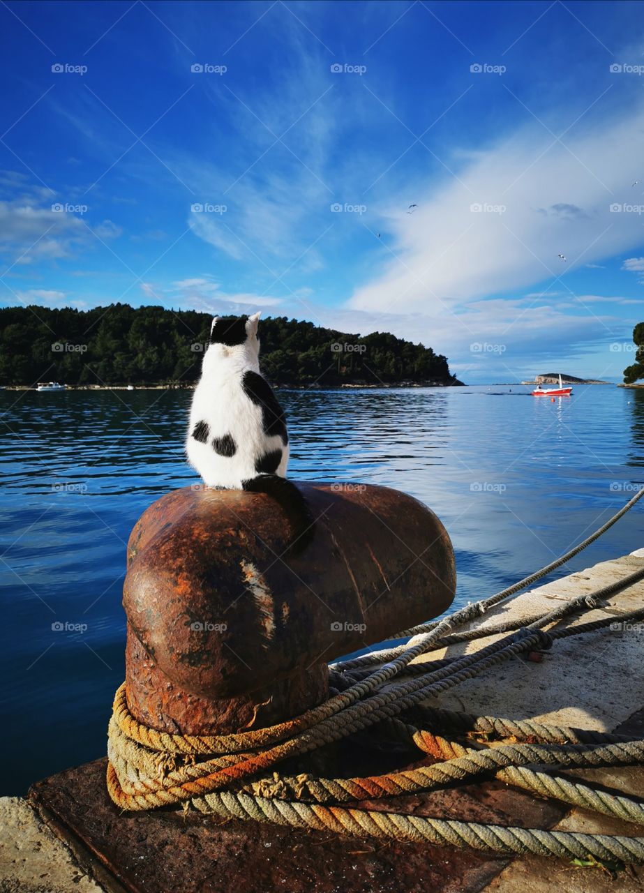 Waiting for a lunch to come