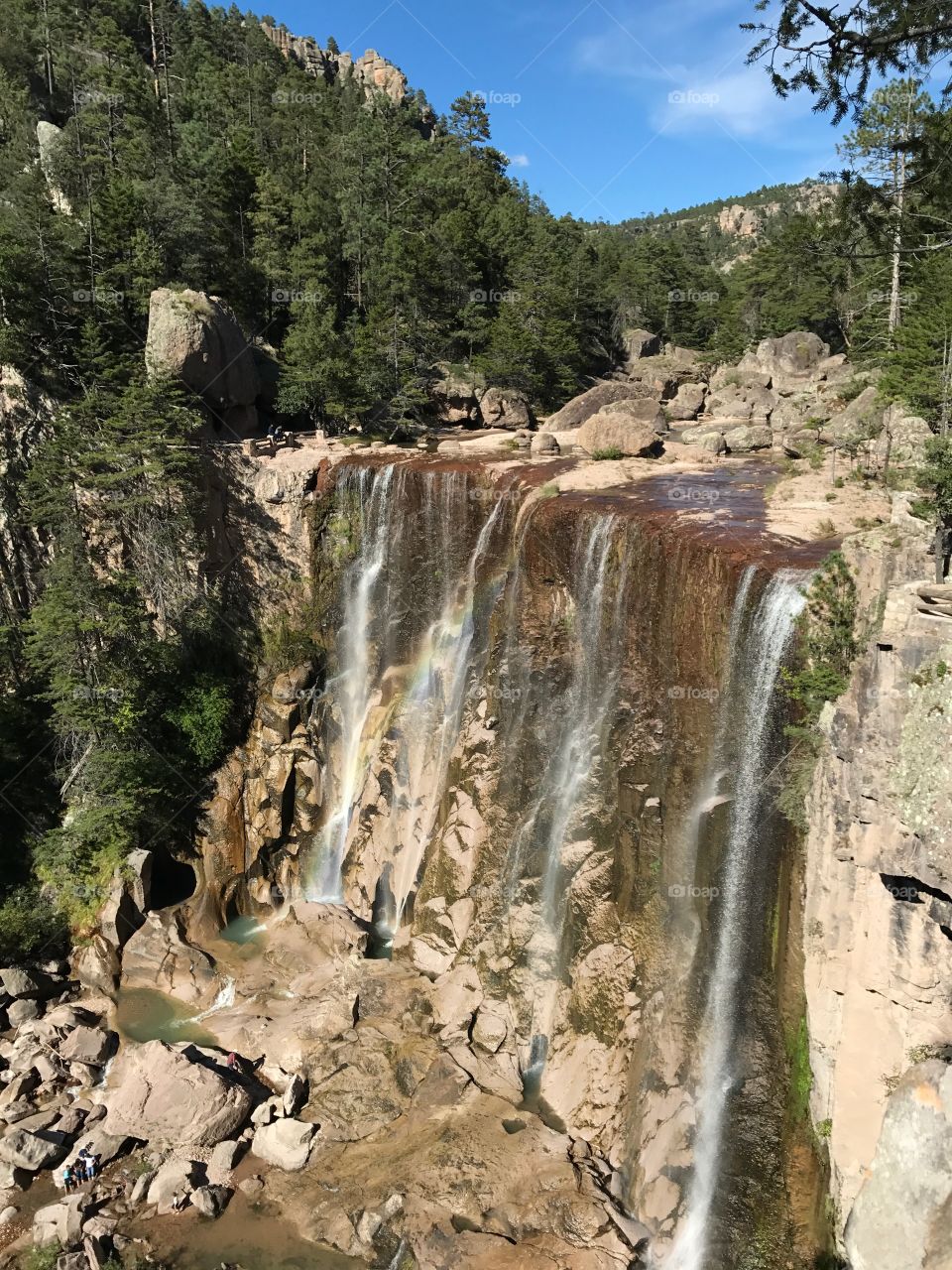 All nature sources have a reason 