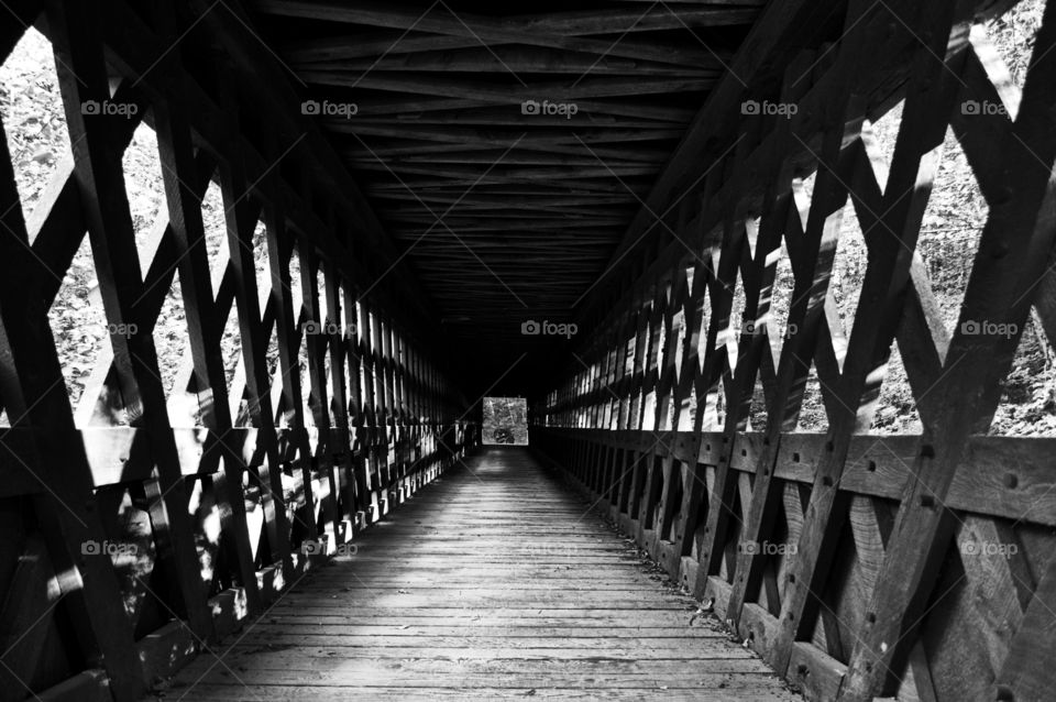 bridge in black and white perspective