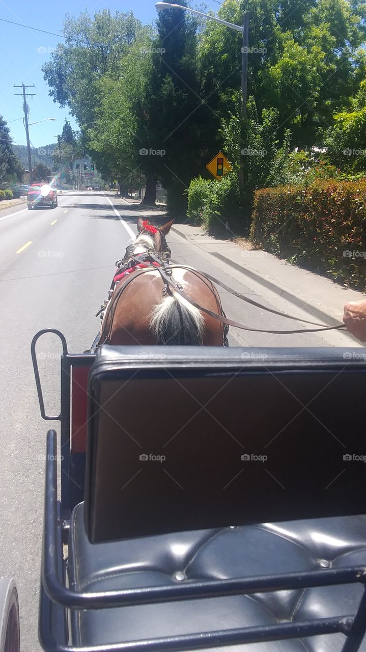 Horse and buggy