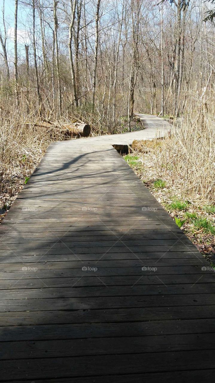 wood path