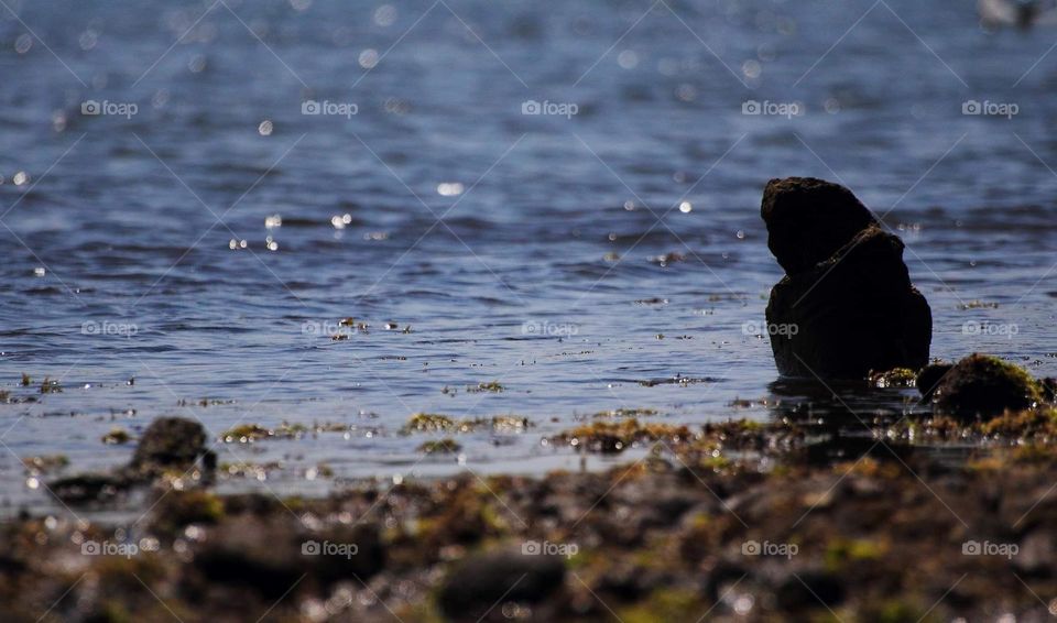 A shape of corral for the short, fat man. Just only building imagine to the shape . The coral's natural, no handmade doing. What nature suprise being to be ? The corral captured as one imagination to protect the beach .