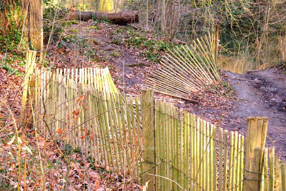 park fence