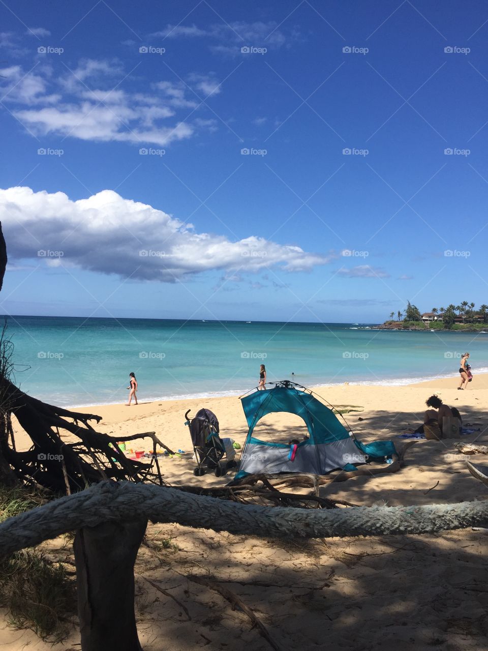 Beach, Water, Seashore, Sea, Ocean