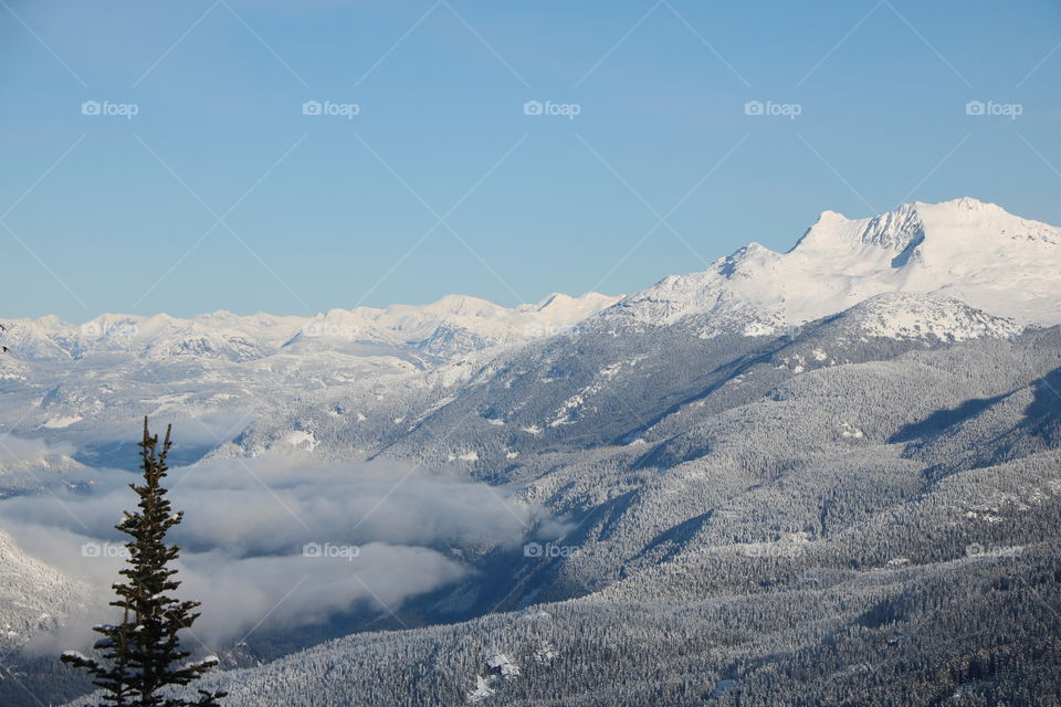 On top of the mountain caped with snow  , evergreen trees and clouds topping up the valley 