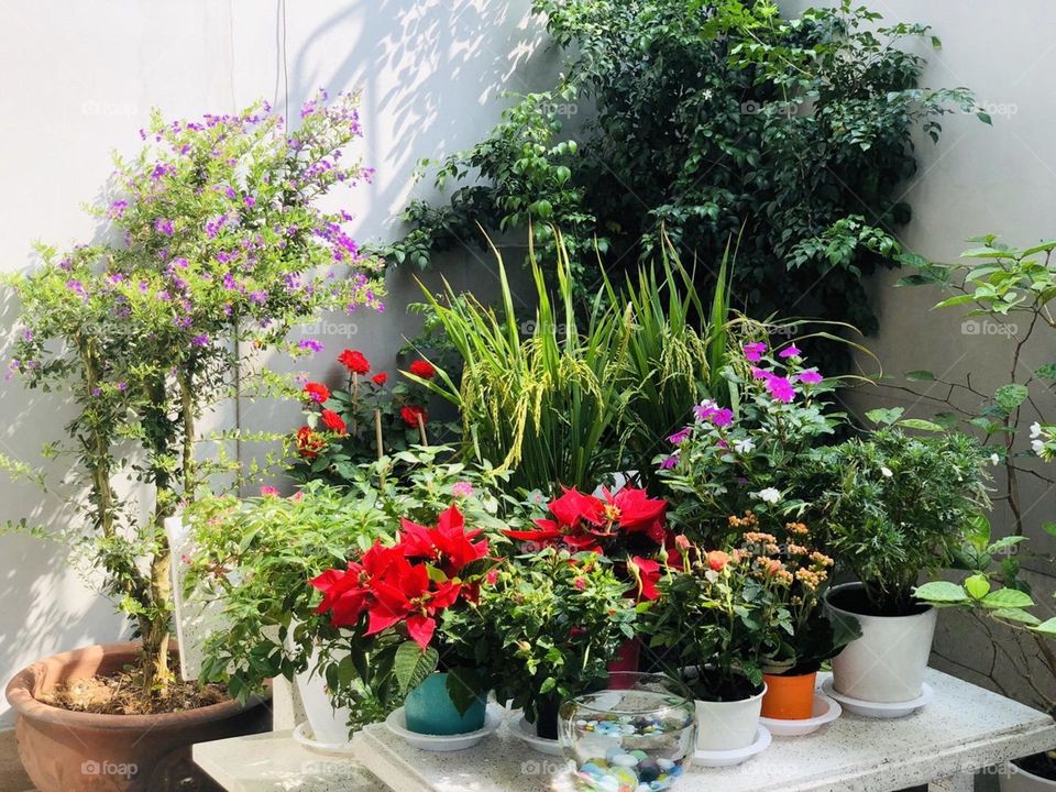 Riêng một góc nhỏ.