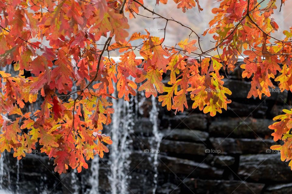 Waterfalls in autumn. A beautiful combo. Historic Yates Mill County Park, Raleigh, North Carolina. 