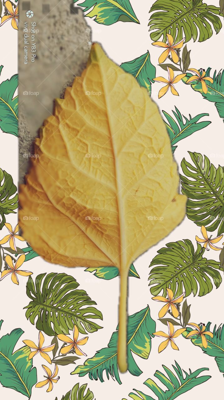 #foap #infoapartemen #foapjuly18 #foapaug18 #foapfeb18 #foapapril17 #foapers #foapjune18 #fotografoaprendiz #sfoapprentices #foaper #infoapartment #foapmission #foapmay18 #foapapr18 #foapit #infoaplikasipaytren #infoapple #foapom #foapjan19 #infoapp