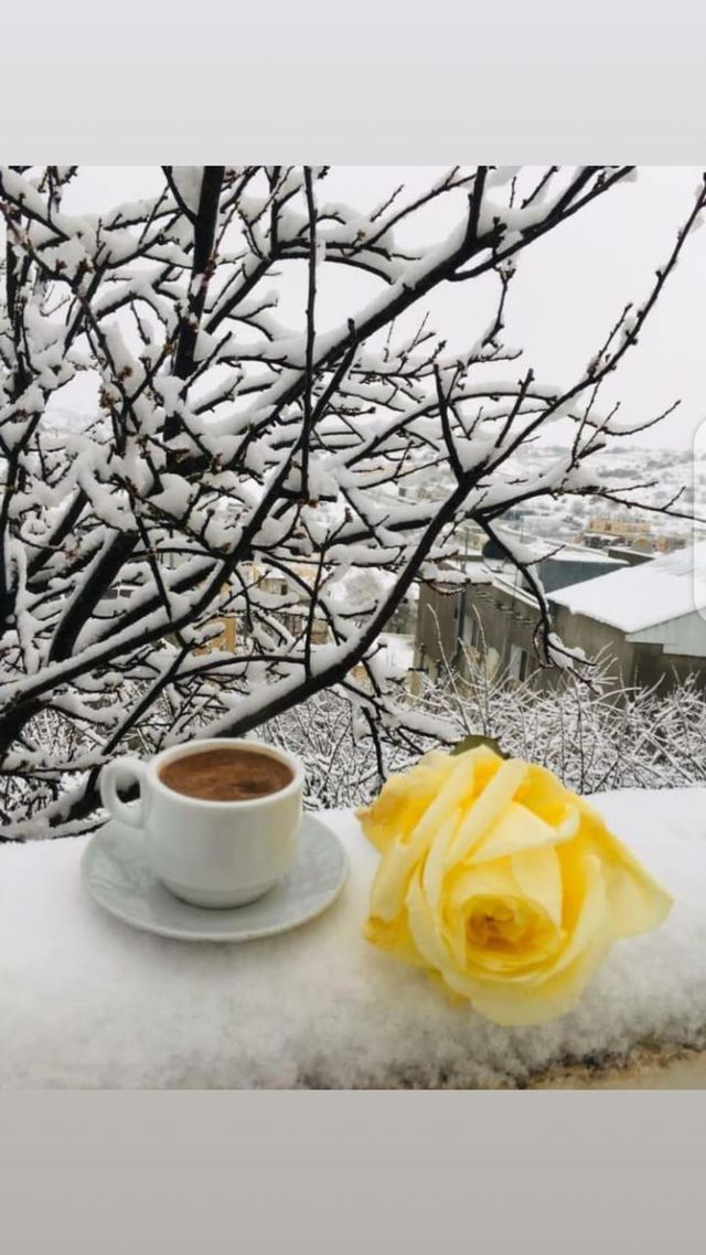 Wonderful snow