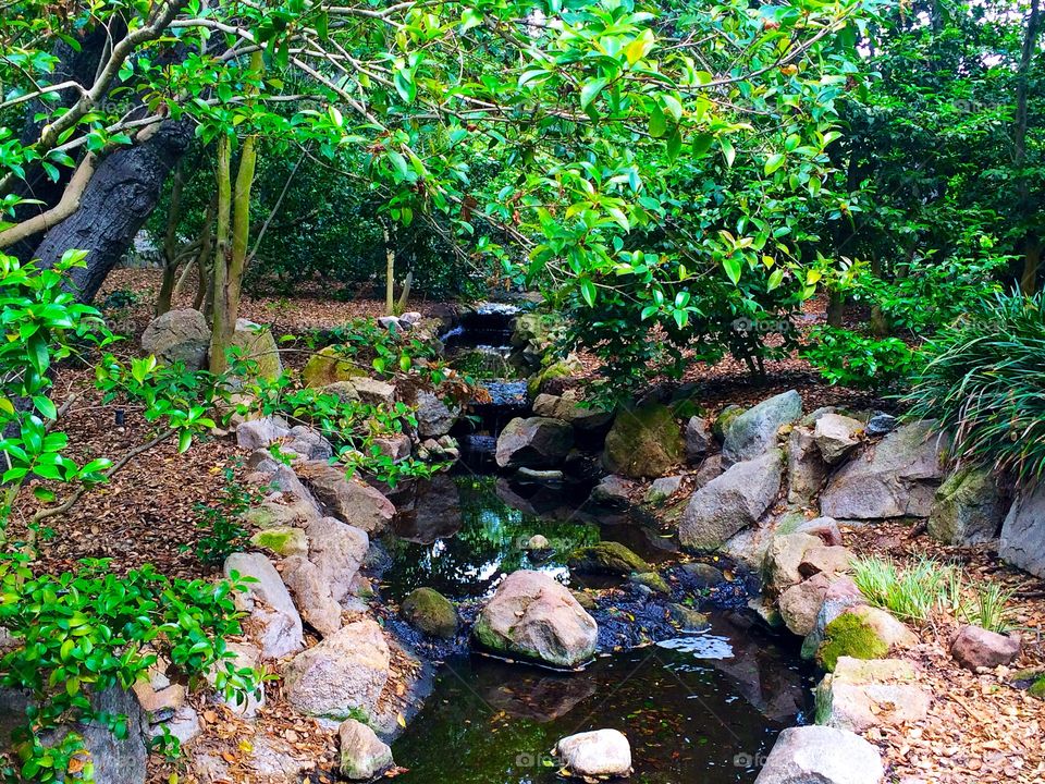 Little stream in gardens . Photo taken at Descanso Gardens 