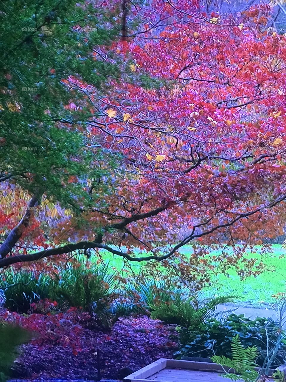 Washington Autumn Season 