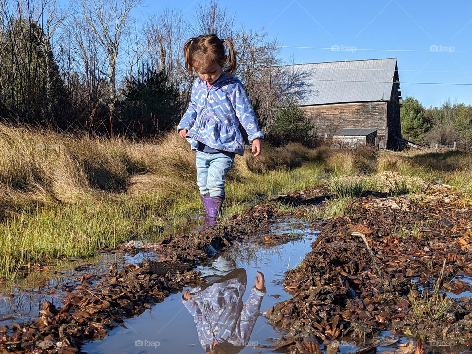 A walk on the farm