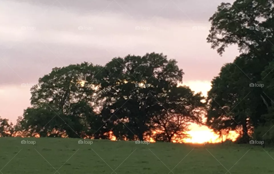 Country sunset 