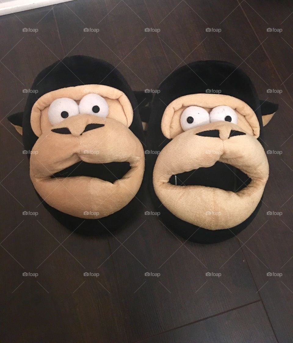 My talking slippers