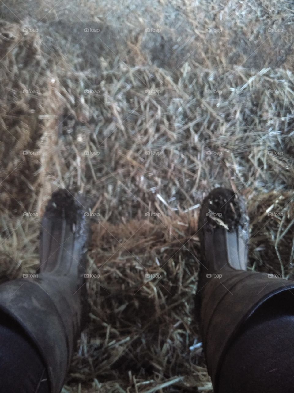 My muddy feet