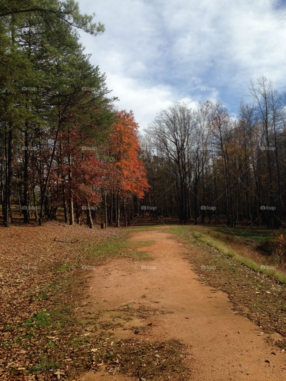 Trail in the fall 