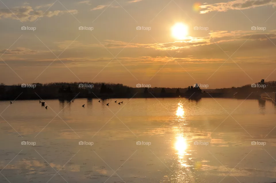 Sun