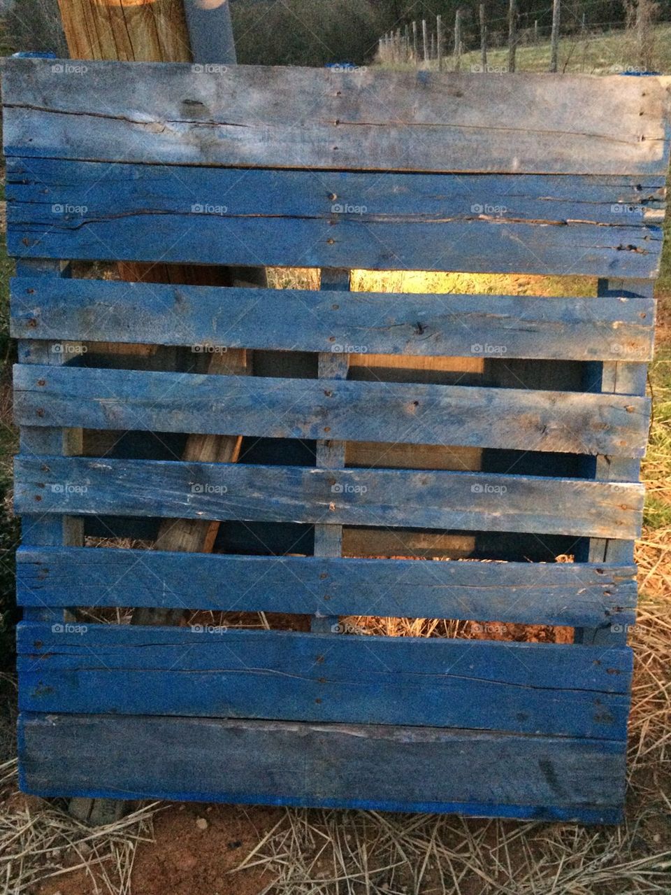 Pallet