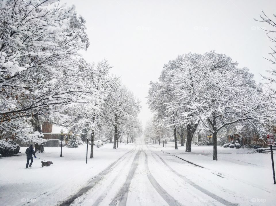 Harvey Ave after the blizzard; Western Springs IL