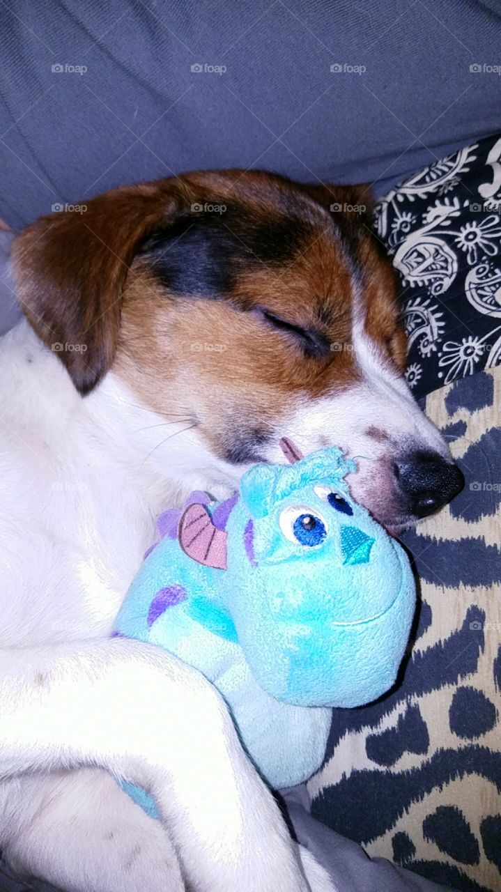 Chase the pupper with his Sulley