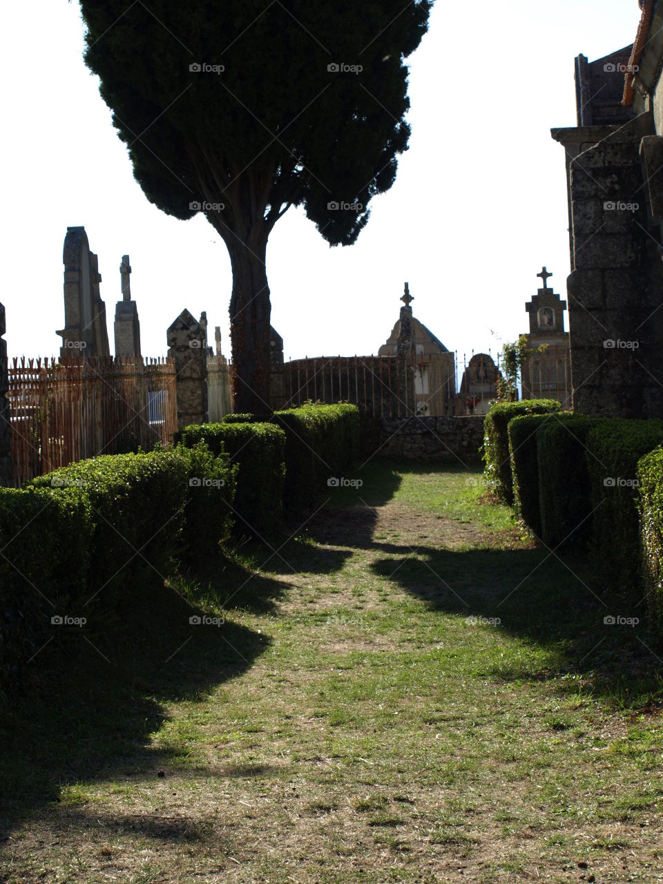 Cementerio de Castro
