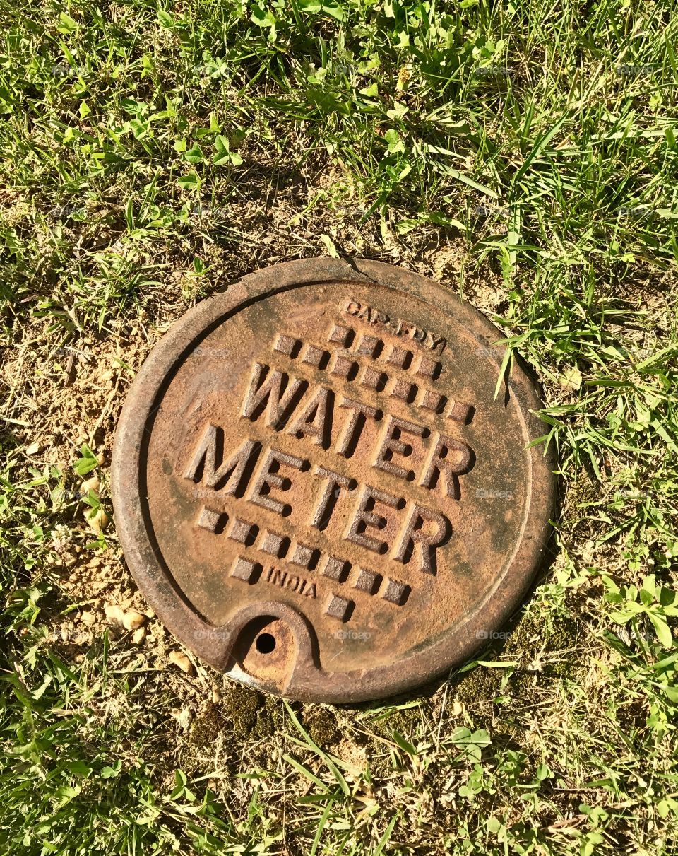 Water Plate on Grass