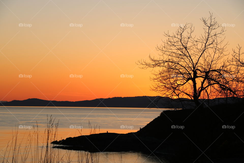 Silhouettes of grass, tree , hill and mountain around the ocean after sunset