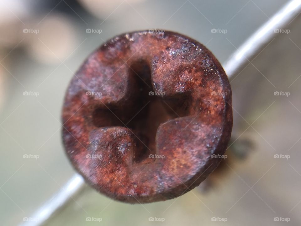 Rusty screw 