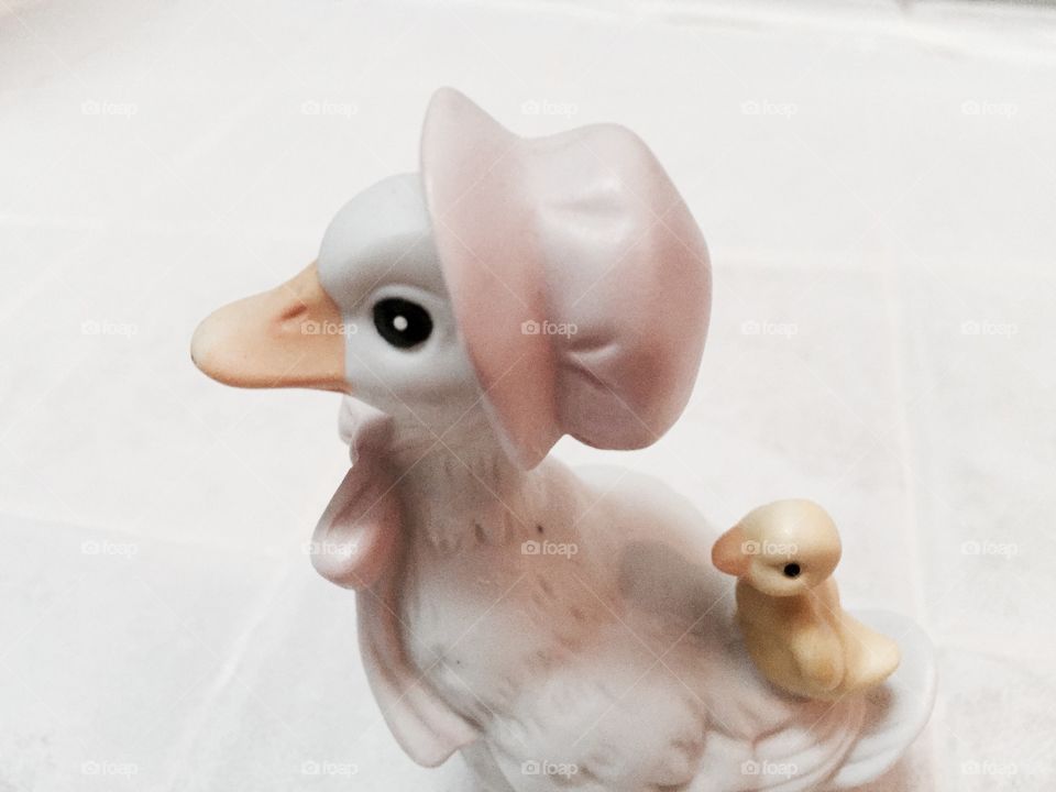 My duck 