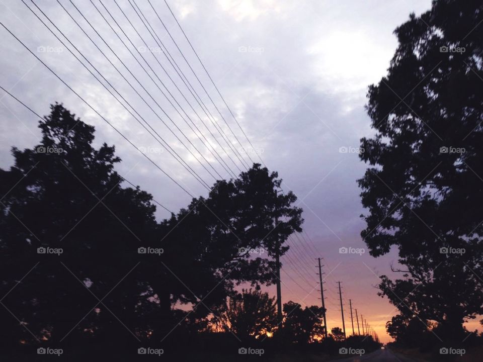 Power line Sunset