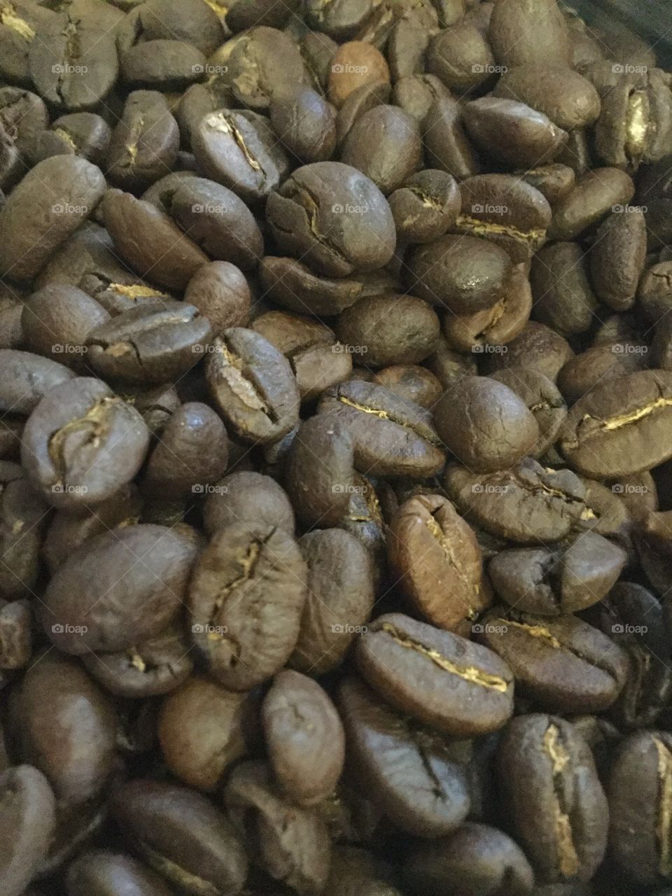 Coffee beans 