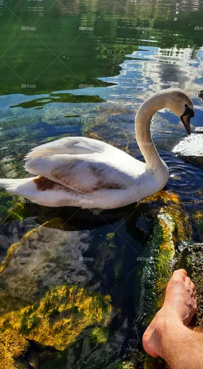 Having a beauty at your foot