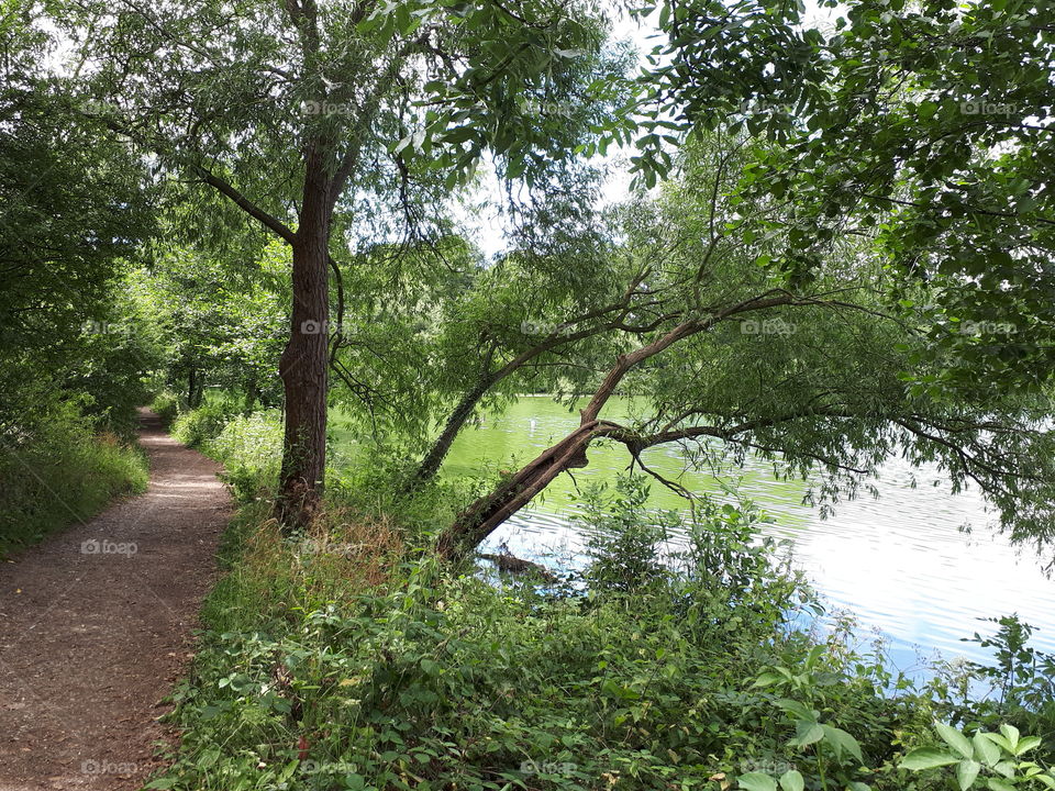 Lakeside Path