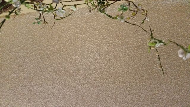 plants