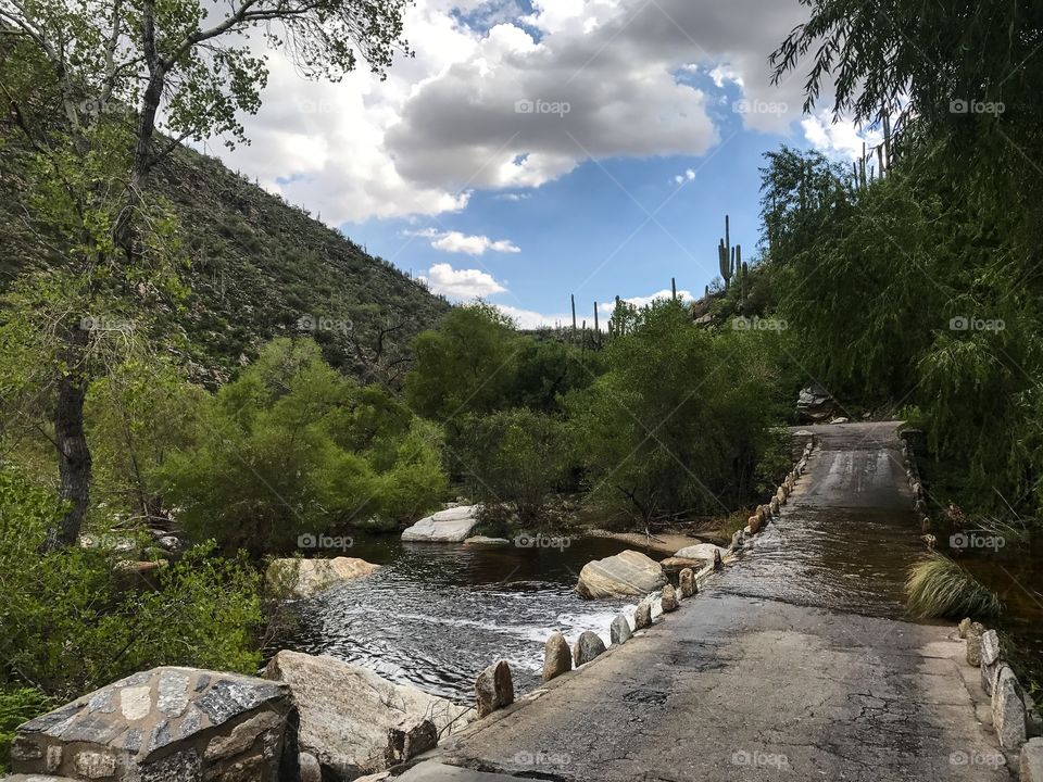 Nature Mountain Landscape - Sabino Canyon in Tucson, Arizona 