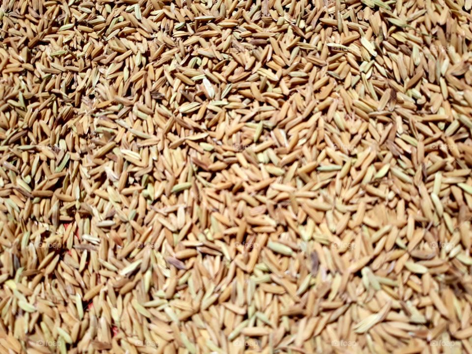 Sun drying rice in mats.