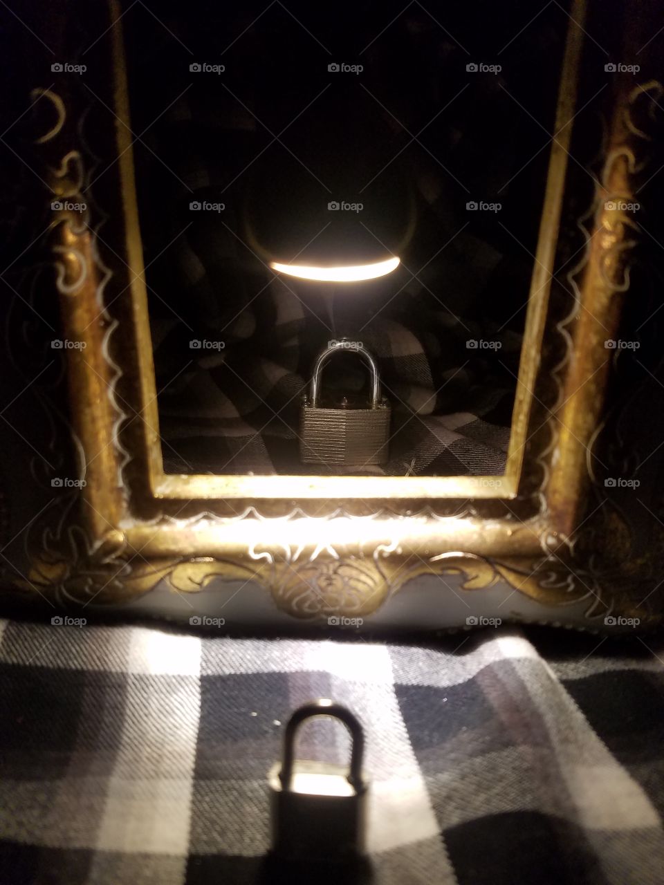 The smaller younger lock stares at its reflection that is larger and stronger.