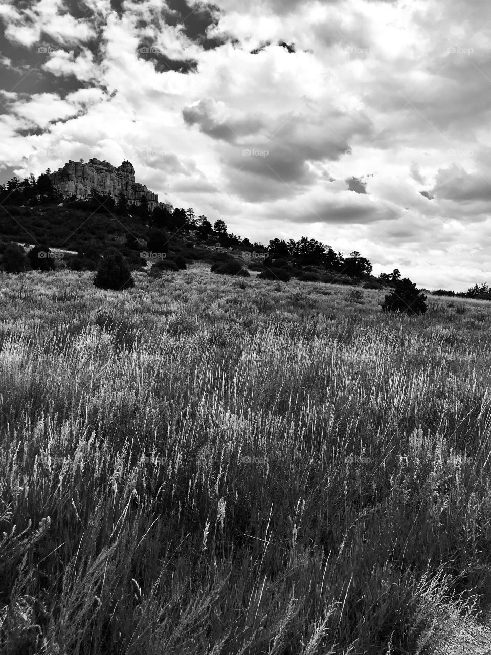 Pulpit Rock Open Space in Colorado Springs, Colorado. It was a beautiful summer afternoon for a hike. It’s a great place for a hike or a bike ride.